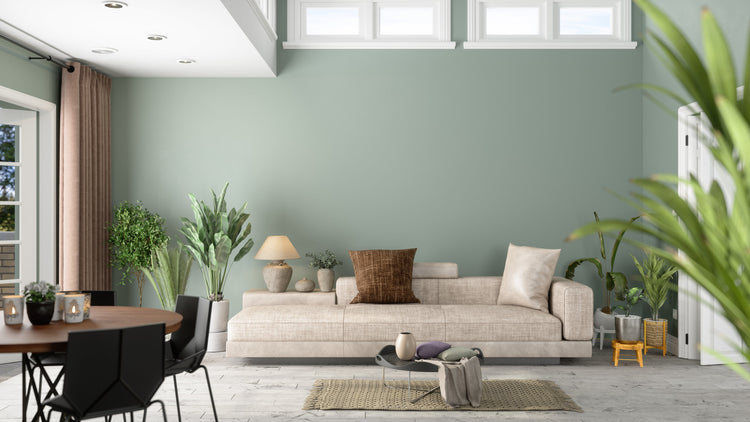 Decor