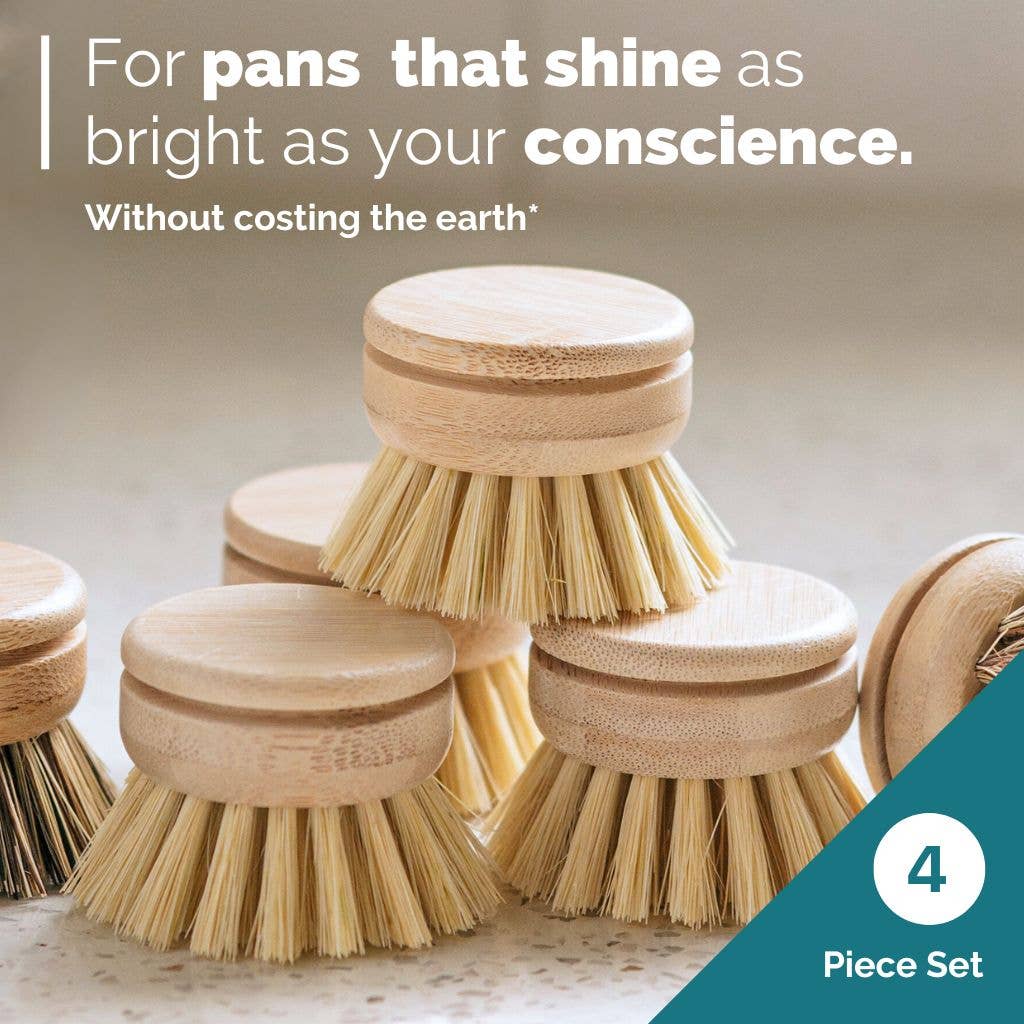 Dish Brush Head Replacements | Eco Bamboo (Pack of 4) : Set of 4 Brush Heads (Firm Fibres)