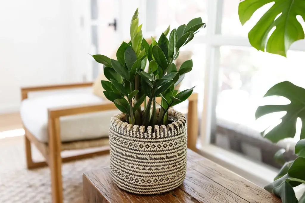 Artisanal Handmade Eco Storage Basket: Beige