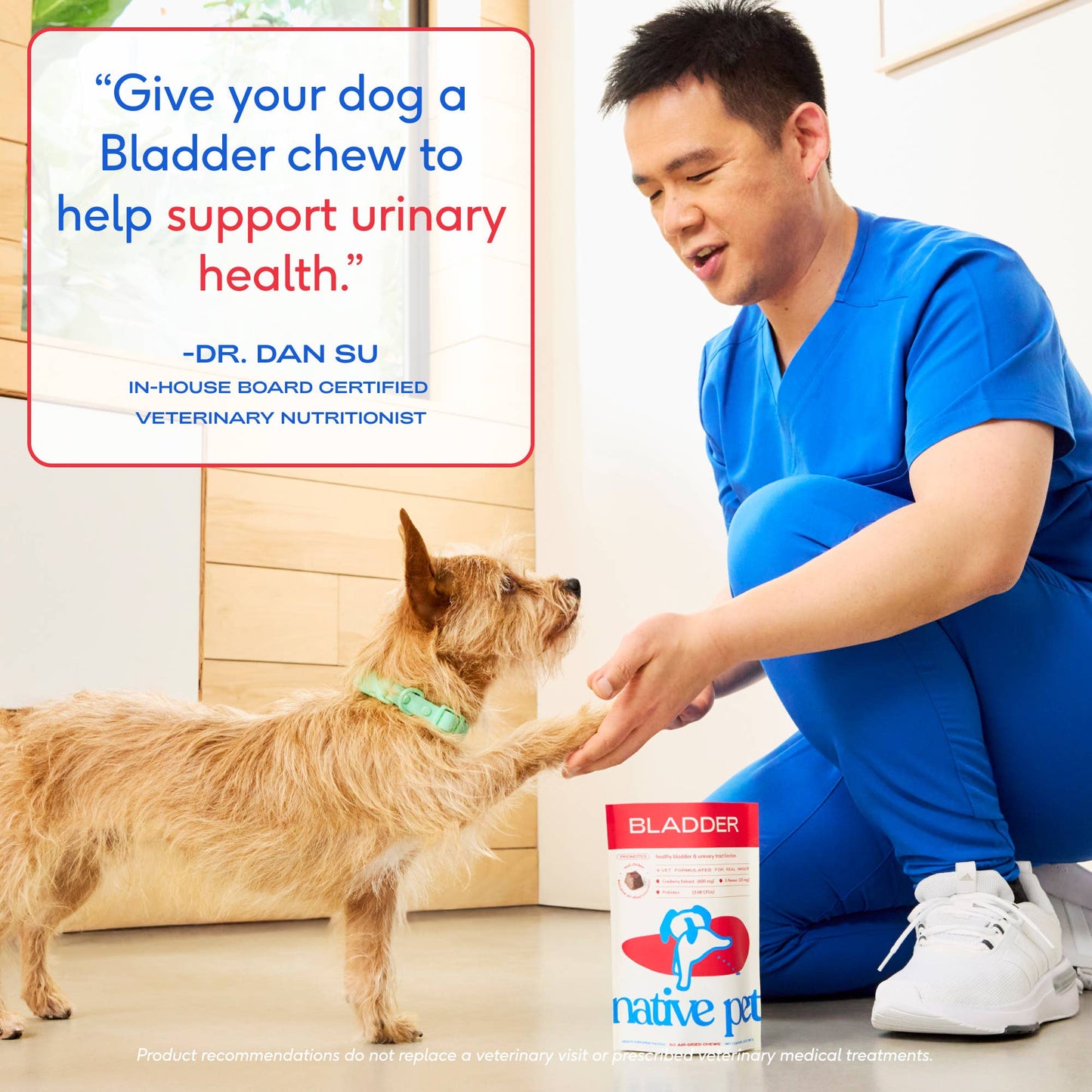 Native Pet Cranberry Bladder Chews, Kidney & Urinary Supplement for Dogs