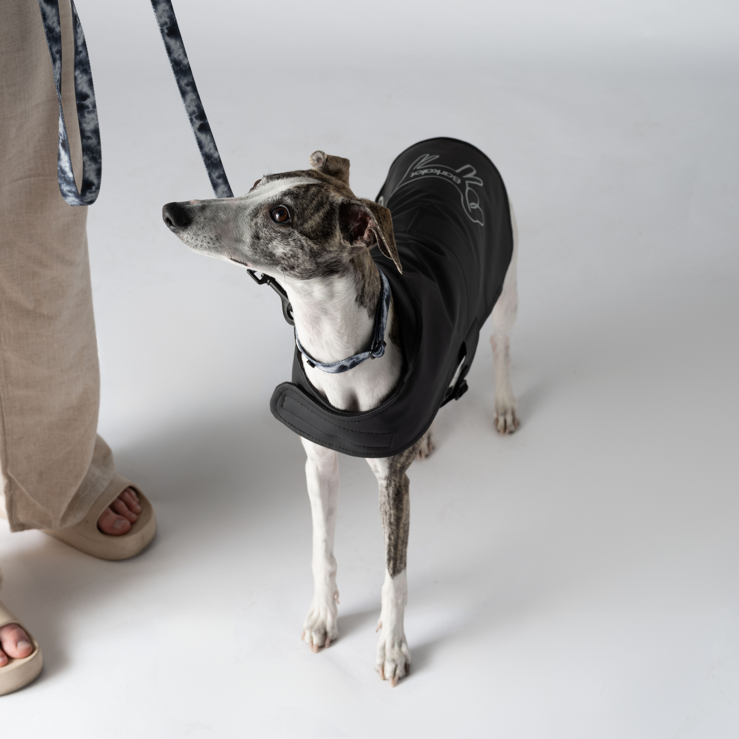 Dog Raincoat, Upcycled