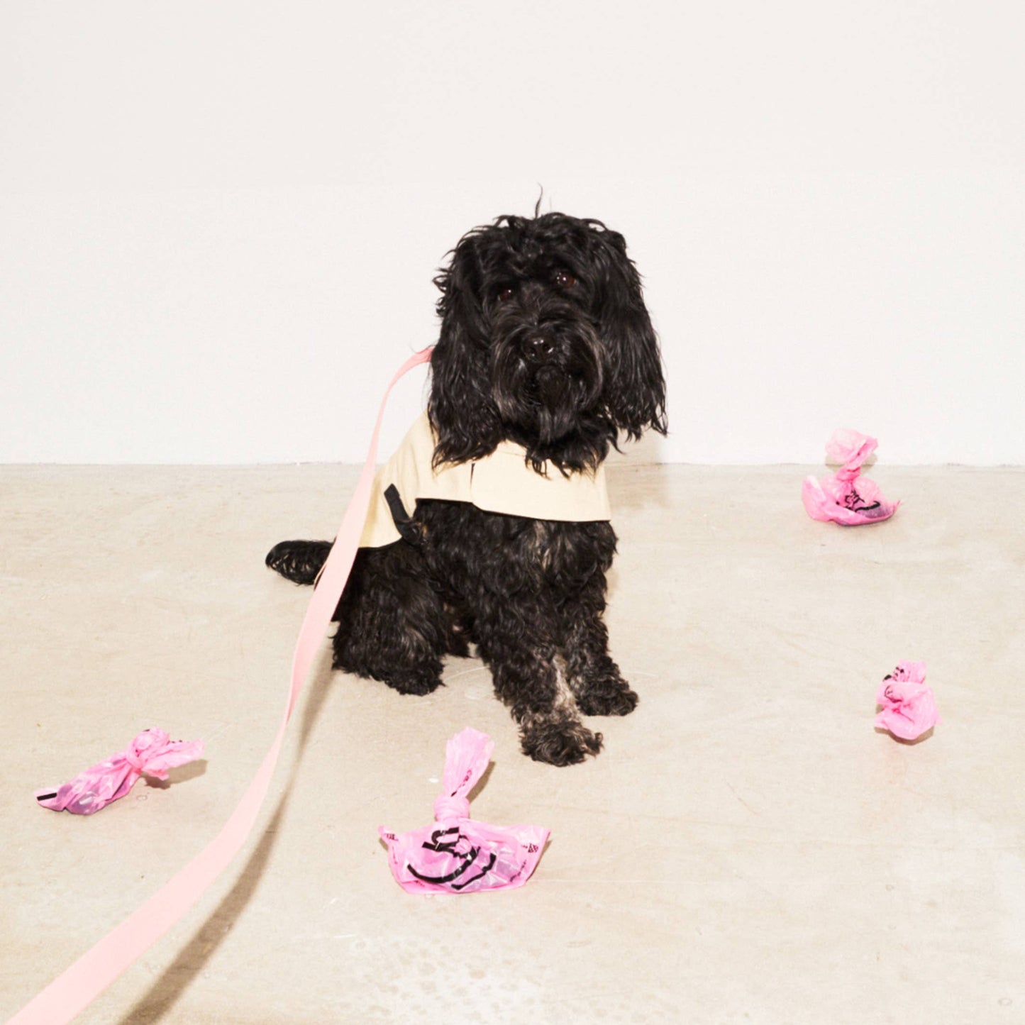 Dog Raincoat, Upcycled