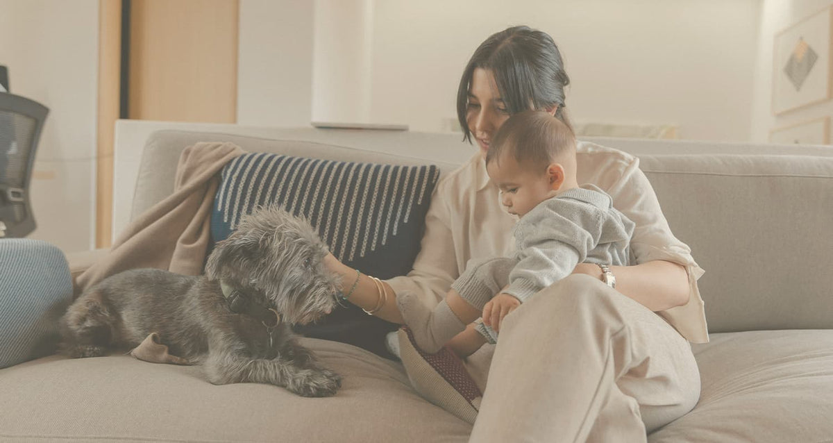 Woman, baby, and small dog on couch. 
