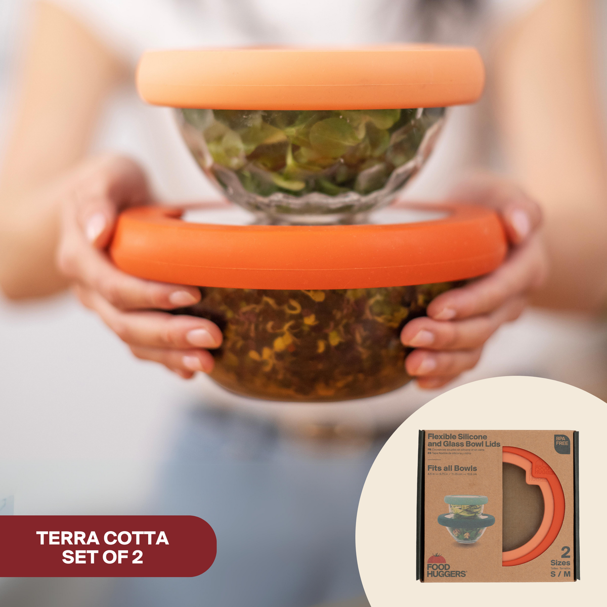 Glass Bowls and Silicone Seal Lids (Set/2) – Terra Cotta