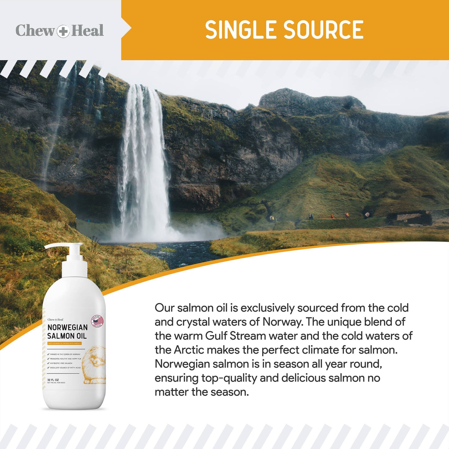 Norwegian Salmon Oil Skin & Coat for Dogs & Cats