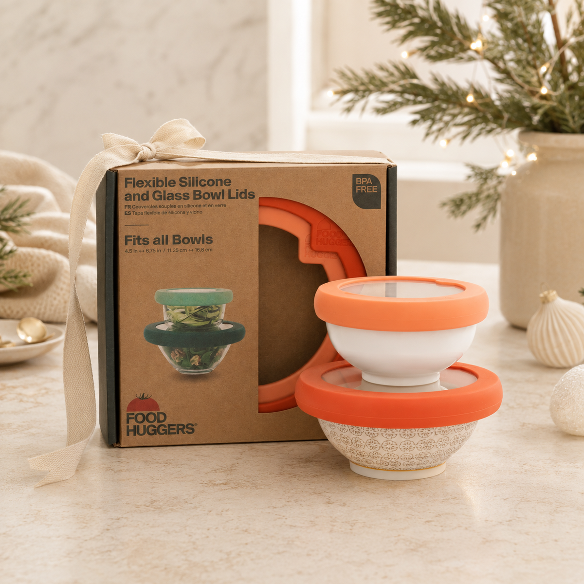 Glass Bowls and Silicone Seal Lids (Set/2) – Terra Cotta