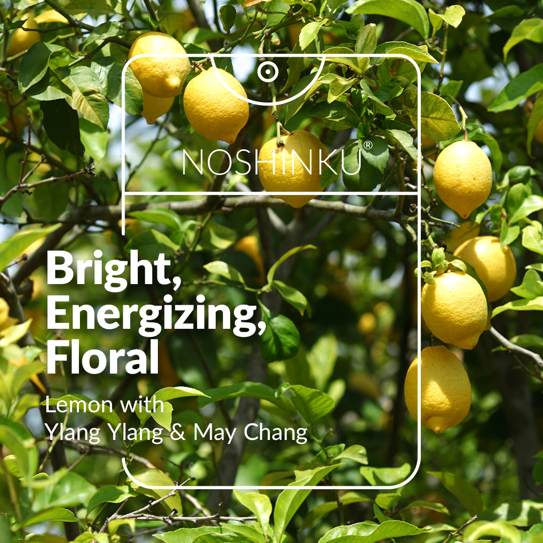 Pocket Sanitizer and Refill Sets: Orange-Eucalyptus-Limon