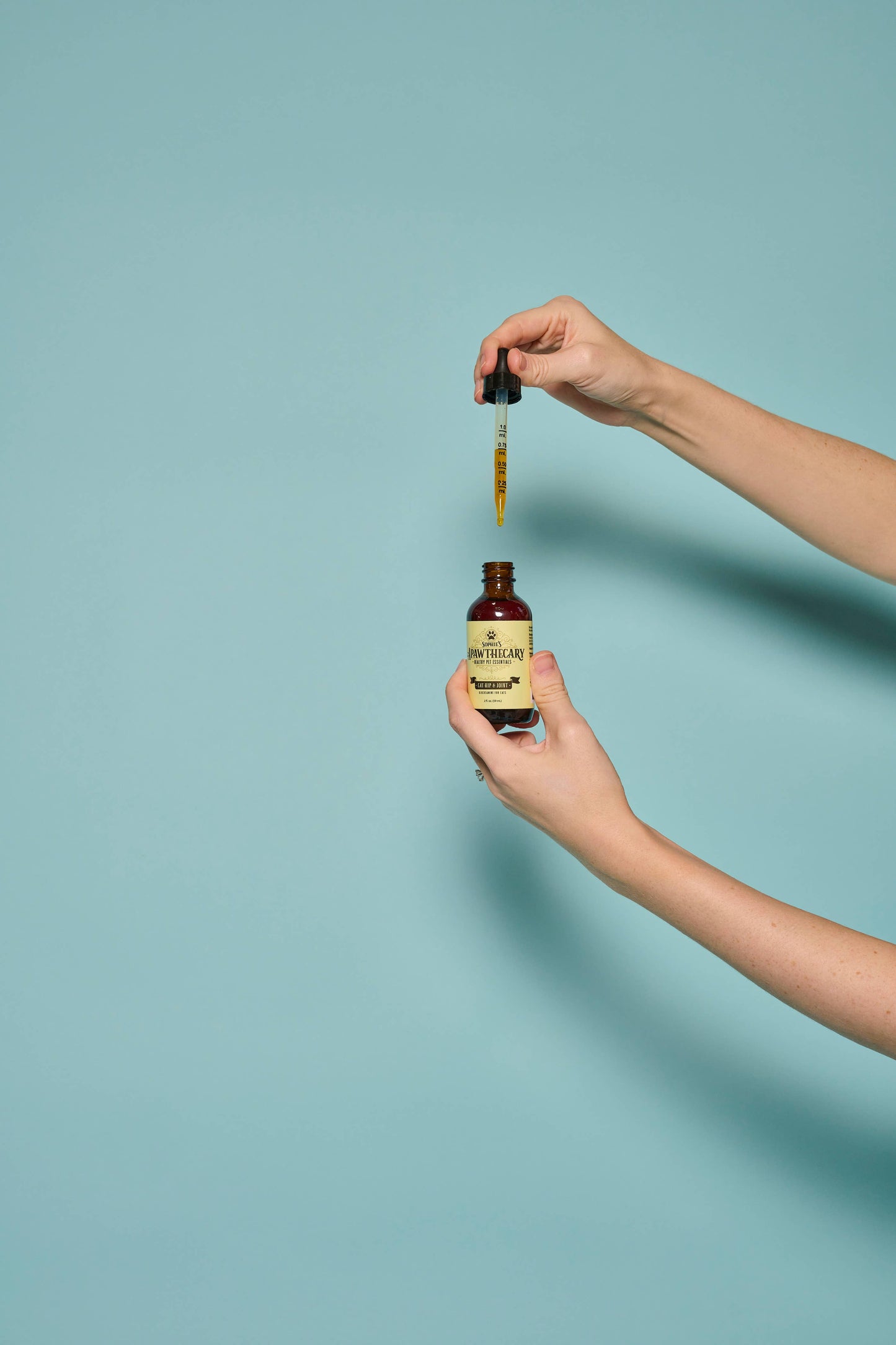 Cat Hip & Joint Liquid Supplement