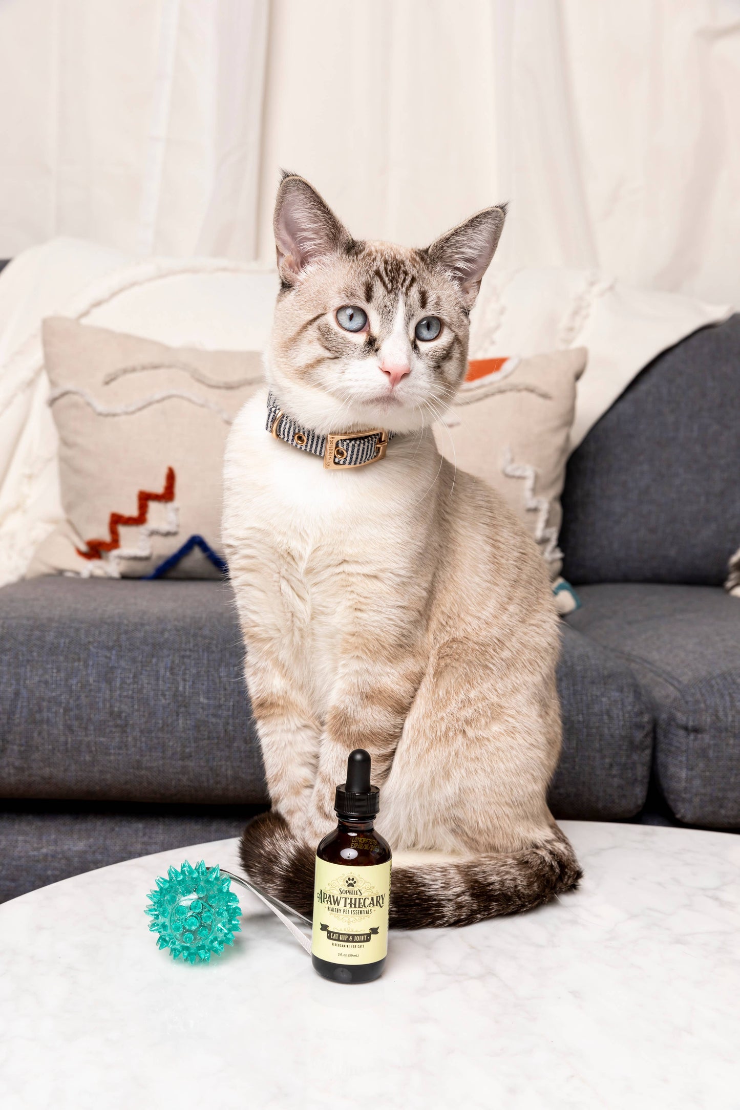 Cat Hip & Joint Liquid Supplement