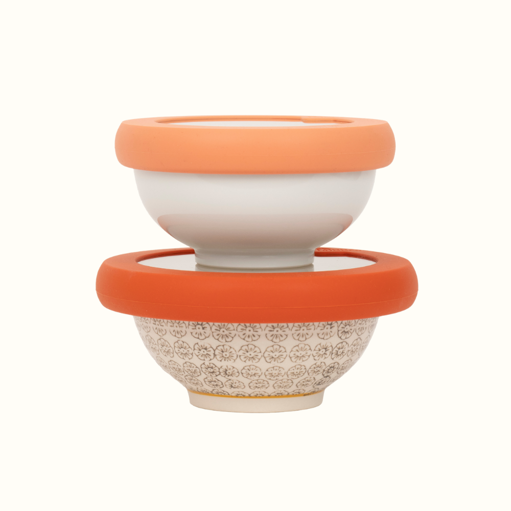 Glass Bowls and Silicone Seal Lids (Set/2) – Terra Cotta
