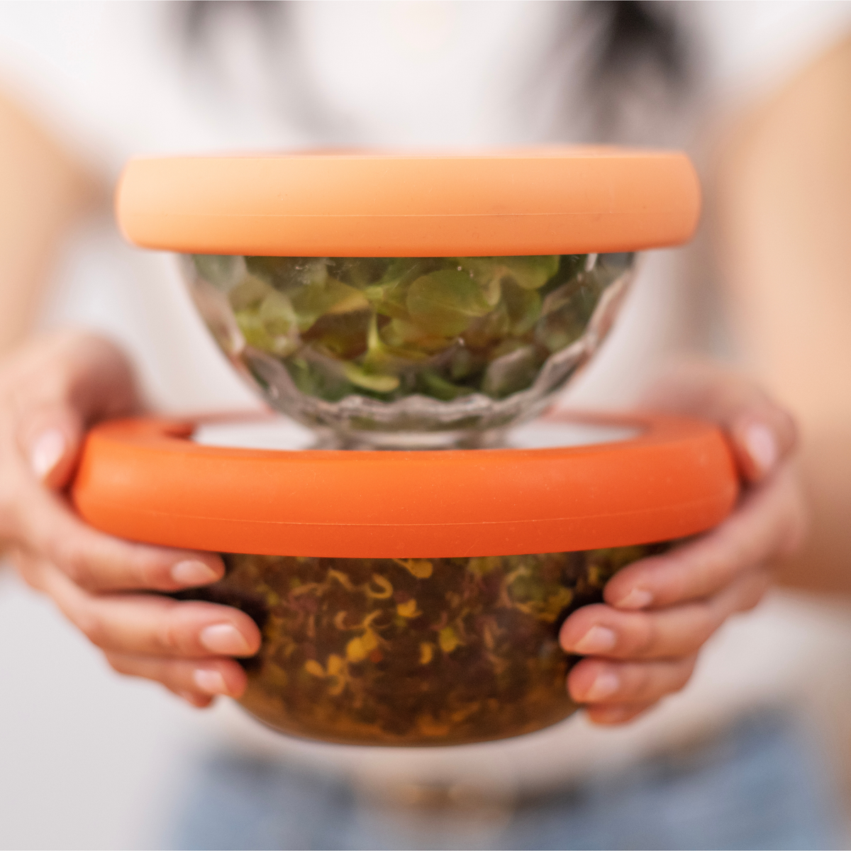 Glass Bowls and Silicone Seal Lids (Set/2) – Terra Cotta