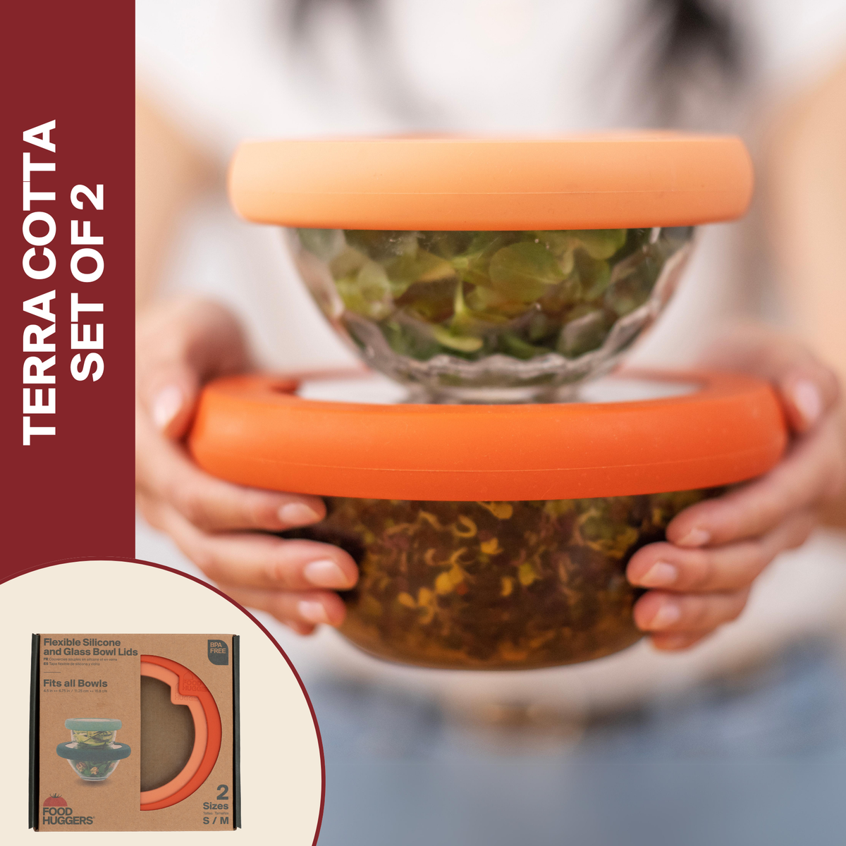 Glass Bowls and Silicone Seal Lids (Set/2) – Terra Cotta